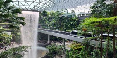Singapore Changi Named World’s Best Airport for Layovers